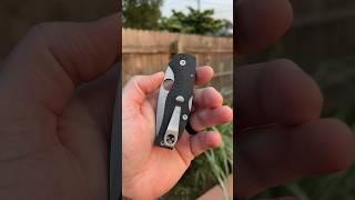 Is This the BEST Spyderco Ever Made?