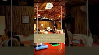 Transform Your Life: Yoga & Meditation Retreat in South Goa #sadhguru #yoga #goa