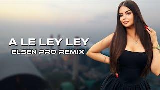 Elsen Pro - A Le Ley Ley (Tiktok Remix)