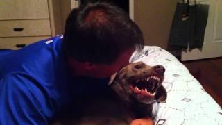 ANGRY DOG GETS A KISS