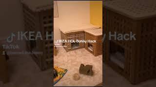 IKEA HOL Bunny Hack #bunny #rabbit #freeroam #ikeahack #ikeahol