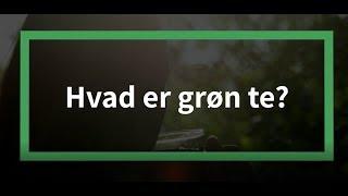 Hvad er grøn te? og de 6 vigtigste ting du bør vide