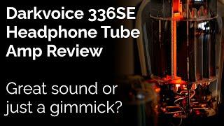 Darkvoice 336SE Tube Amp Review - Great sound or just a gimmick?