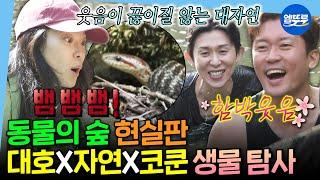 [나혼자산다] 뱀 나와도 그저 싱글벙글 보고 있으면 저절로 힐링되는 대자연 원정대의 자연 탐방  | #김대호 #옥자연 #코드쿤스트 MBC250620방송