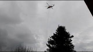 Helicopter arborist crew removing trees