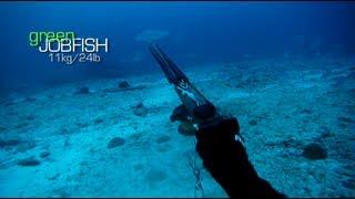 Spearfishing - Stoning a 11kg Green Jobfish