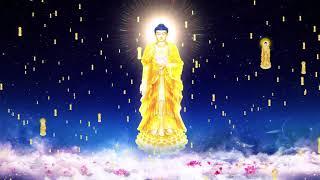 Nhạc Niệm Phật "Nam Mô A Di Đà Phật" Nguyện Cầu Dịch Bệnh Covid-19 Tan Biến