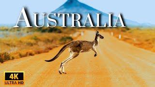 WILD AUSTRALIA | Land of Extremes and Exotic Species | Animal Documentary