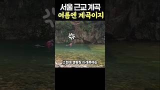 더운 여름에는 무조건 계곡이지 , 서울 근교 당일치기 최고의 계곡 #강원도계곡 #서울근교여행
