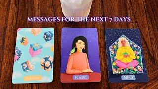 The Next 7 Days ️ Pick a Card ️