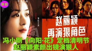 冯小刚《向阳·花》定档清明节 赵丽颖素颜出镜演狠人