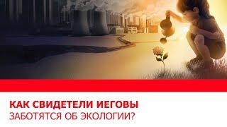 Как Свидетели Иеговы заботятся об экологии?