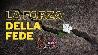 La forza della fede - Pastore: Michele Sacco - Chiesa Cristiana Evangelica Forlì