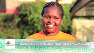 Goldenscape Greenhouses Pays