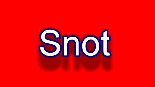 Snot