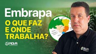 CONCURSO EMBRAPA 2024: O QUE FAZ E ONDE PODE TRABALHAR