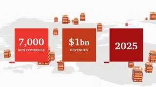 PwC's Accelerator: helping innovative high-growth companies go global faster & smarter