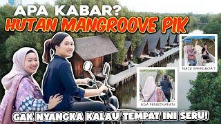 APA KABAR HUTAN MANGROVE PIK?? SEKARANG TERBENGKALAI KARENA BANJIR