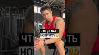 ЧТО ДЕЛАТЬ НОВИЧКУ В ЗАЛЕ?