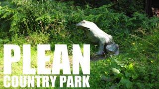 Plean country park : By drone