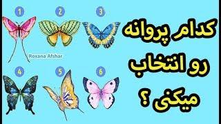 کدوم پروانه رو انتخاب میکنی ؟ تست تصویری و شخصیت شناسی