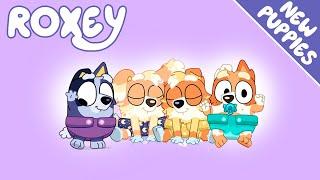All the NEW BABIES Showing Up in BLUEY! (Puppies)