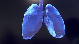 Virtual Lungs Meditation