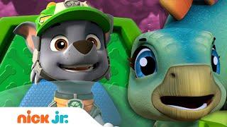 PAW Patrol Dino Patroller Is Out of Control! | Nick Jr.