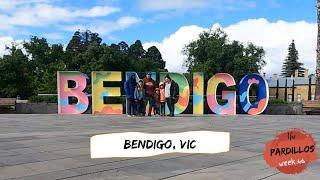 Day trip to Bendigo - week 46 | The Pardillos