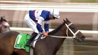 Atishu – TAB Empire Rose Stakes – Penfolds Victoria Derby Day, Race 8