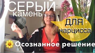 154. НАРЦИССИЗМ. КОГДА НУЖЕН ‘СЕРЫЙ КАМЕНЬ’? Почему не работает ассертивность? Не попасть в динамику