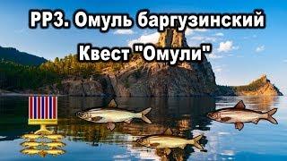 РР3. Баргузинский омуль. Квест "Байкальские омули"