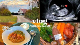 SUB•VLOG #39 아기가 찾아왔어요️ 독일에서 임신준비과정, 집밥, 힐링 독일일상 (임밍아웃, 나폴리탄 원팬파스타, 곤드레밥, 콜라비깍두기, 무말랭이)