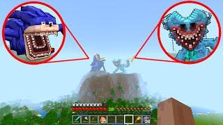 Shin Sonic vs Nightmare Huggy Wuggy Poppy Playtime Chapter 4 in Minecraft