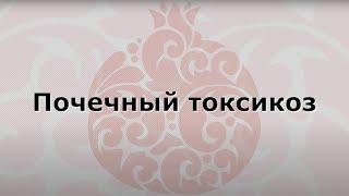 Видео 6. Почечный токсикоз. Из цикла "Знакомство с Технологиями Здоровья"