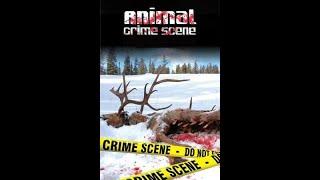 Animal Crime Scene - Outback Assassin Part 1 of 5