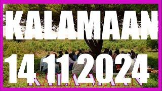 KALAMAAN 14 NOVEMBER 2024