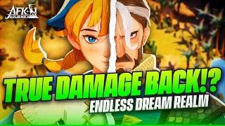 TRUE DAMAGE IS BACK!? Endless Dream Realm PSA 【AFK Journey】