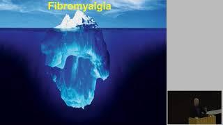 Seminar: Fibromyalgi og kroniske smerter Del  2