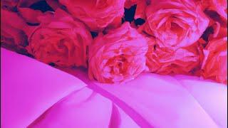 LiamG- Pink Roses