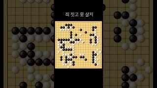 죄 짓고 못 살지 #Shorts