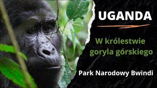 1️⃣ UGANDA  - W królestwie goryla górskiego 