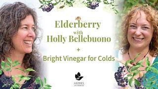 Elderberry with Holly Bellebuono + Bright Vinegar for Colds recipe