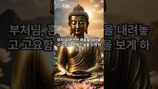인생을 바꾸는 부처님의 기도