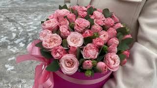 | Roza4u.ru
