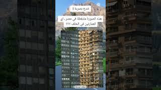 قصص واقعية حكاية واقوال وحكم #معلومات_عامة #قصص_واقعية