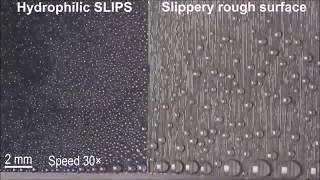 Hydrophilic Slippery Rough Surfaces -  ScienceVio