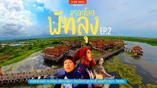 มรดกโลก พัทลุง นอนศรีปากประ นั่งเรือชมควายน้ำทะเลน้อย | พัทลุง 2024 EP2 | sadoodta