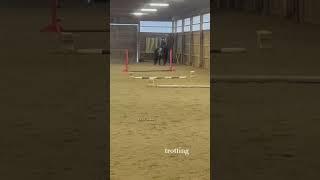 rides with chayya (@vika_eqq) || #eq #horse #equestrian #horsey #pony #riding #equestrianvibes