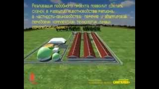 3D проект Свинокомплекса, презентация.